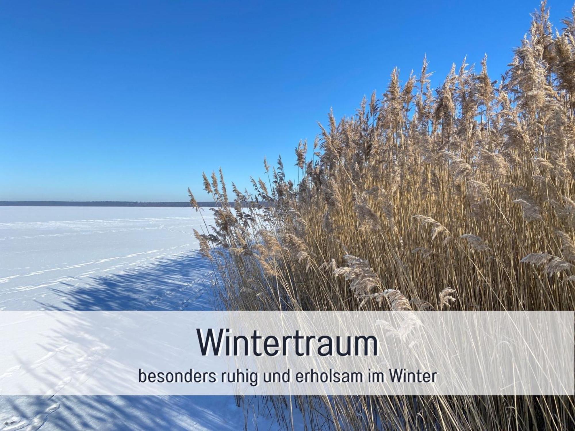 Strandhaus Mathea - Ruhige Lage Direkt Am Fleesensee - Parkplatz, Kamin, Sauna - Familienfreundlich Unter Göhren 外观 照片
